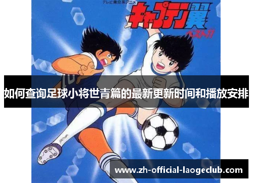 如何查询足球小将世青篇的最新更新时间和播放安排