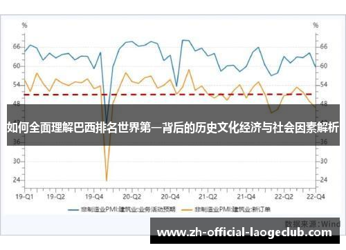 如何全面理解巴西排名世界第一背后的历史文化经济与社会因素解析