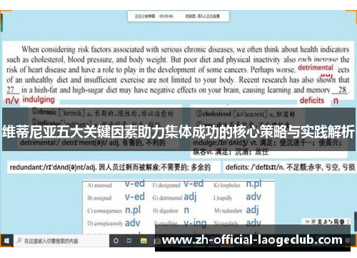 维蒂尼亚五大关键因素助力集体成功的核心策略与实践解析