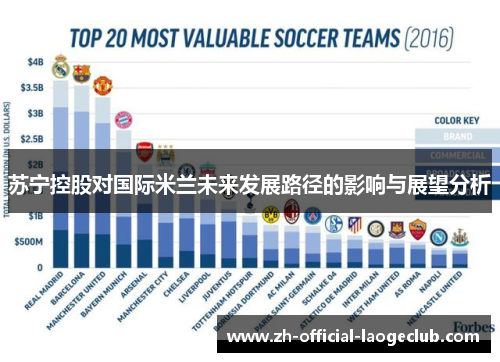 苏宁控股对国际米兰未来发展路径的影响与展望分析