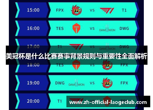 美冠杯是什么比赛赛事背景规则与重要性全面解析