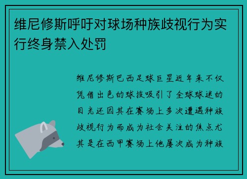 维尼修斯呼吁对球场种族歧视行为实行终身禁入处罚