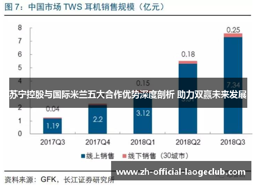 苏宁控股与国际米兰五大合作优势深度剖析 助力双赢未来发展