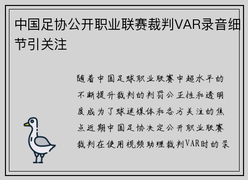 中国足协公开职业联赛裁判VAR录音细节引关注 中国足协公开职业联赛裁判VAR录音细节引关注