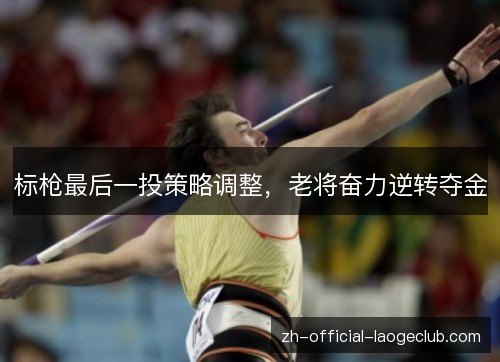 标枪最后一投策略调整,老将奋力逆转夺金 标枪最后一投策略调整,老将奋力逆转夺金