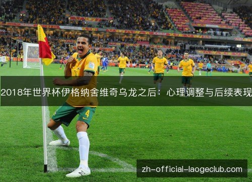 2018年世界杯伊格纳舍维奇乌龙之后:心理调整与后续表现 2018年世界杯伊格纳舍维奇乌龙之后:心理调整与后续表现